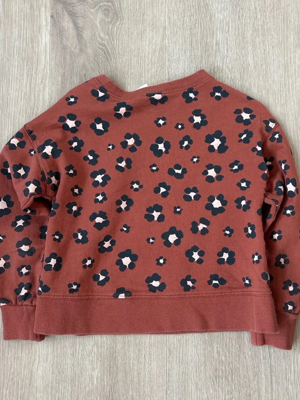 Carter’s Girls’ Floral Animal Print French Terry Sweatshirt – Size 6/6X